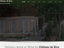 Tablet Screenshot of chateau-bizy.com